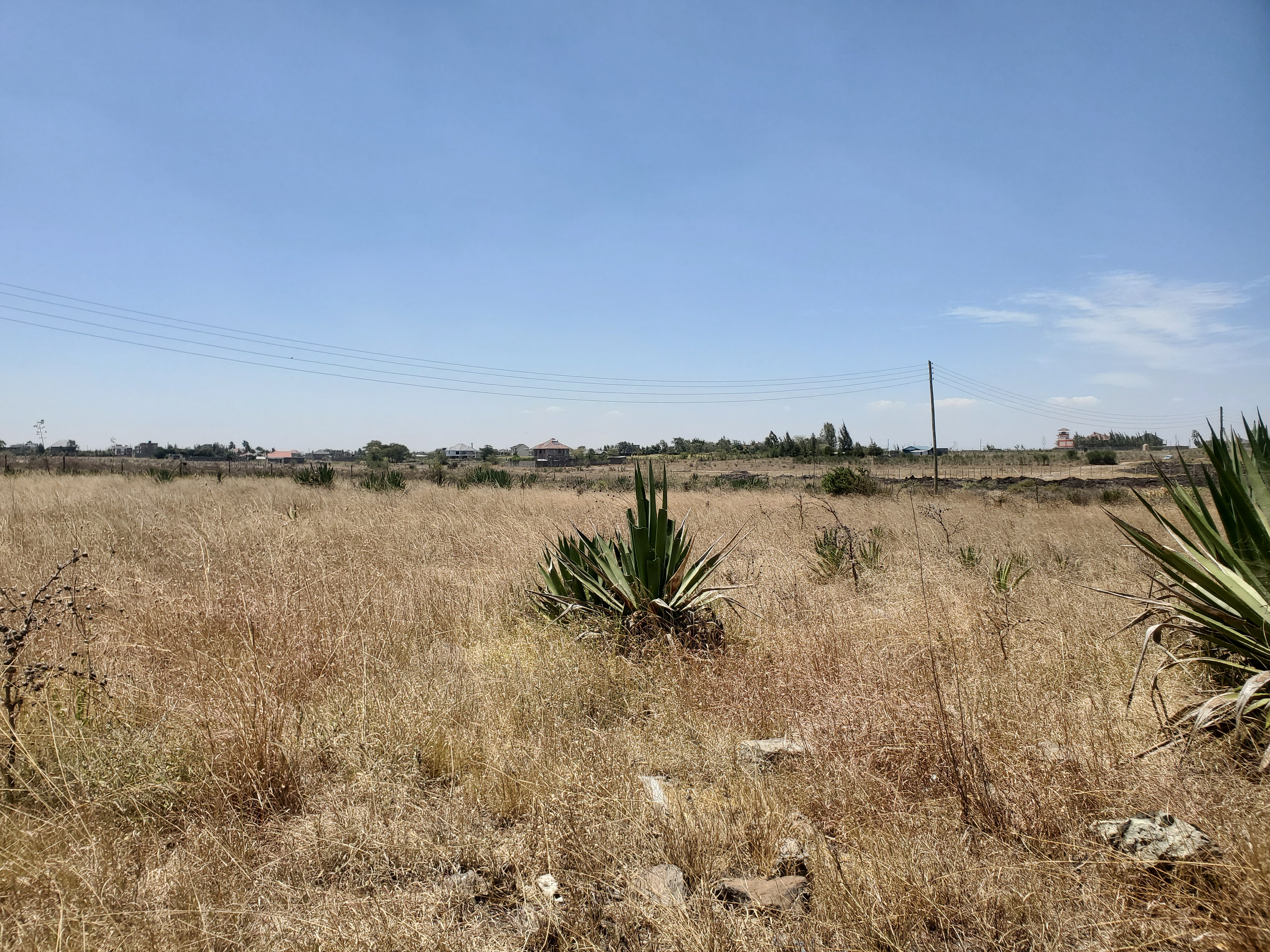 PLOTS FOR SALE – KATANI - Image 2