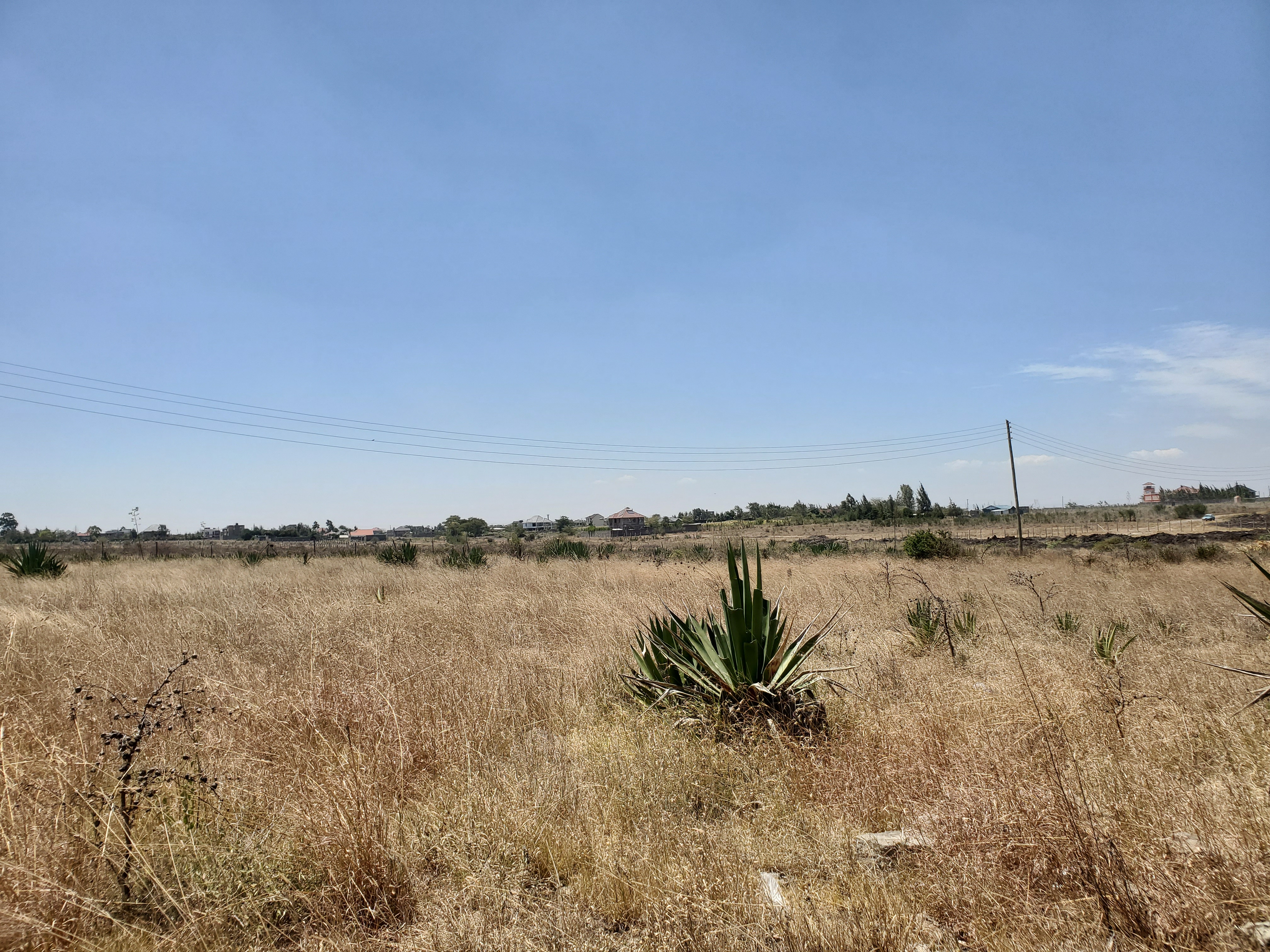 PLOTS FOR SALE – KATANI - Image 3