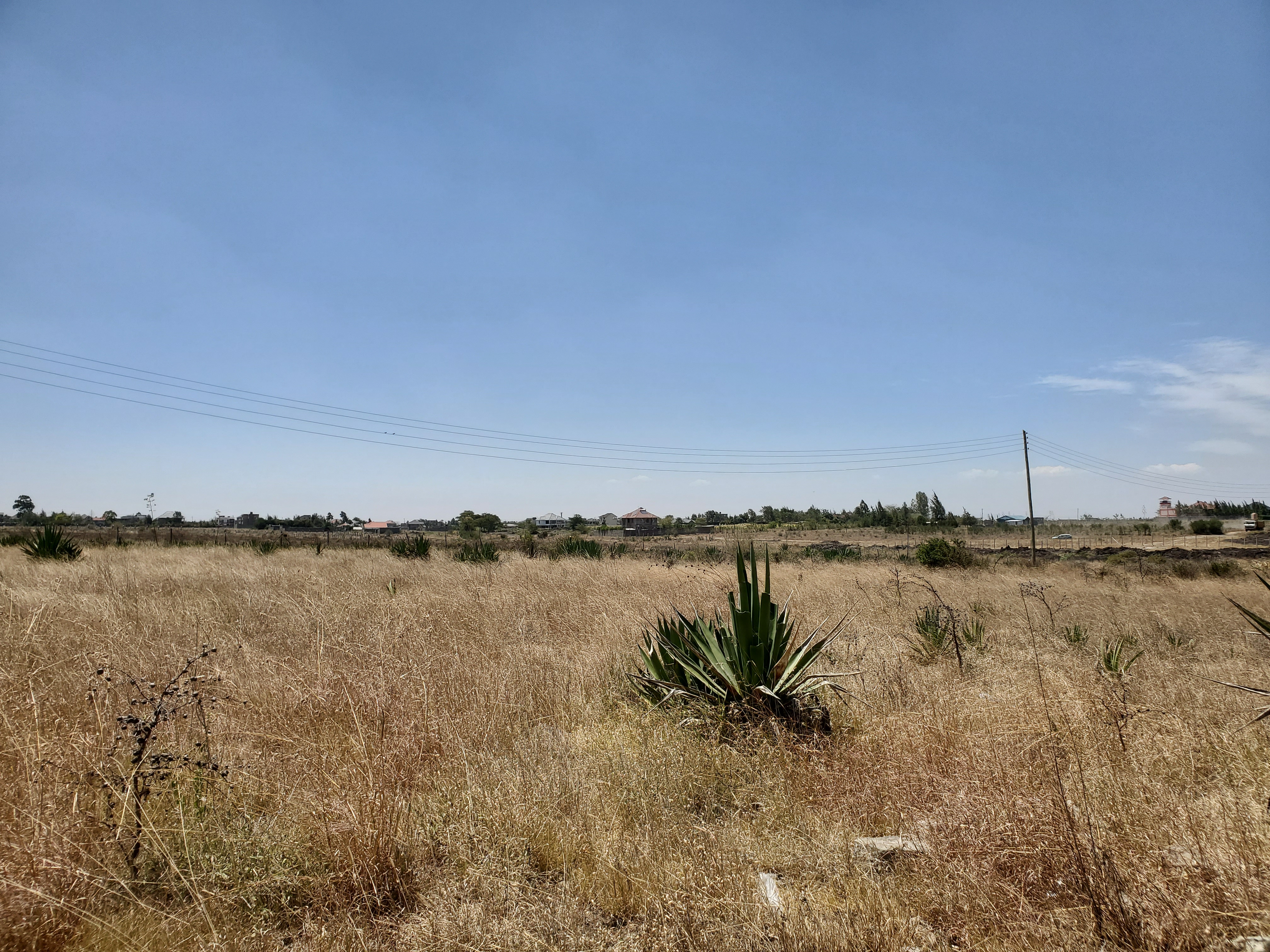 PLOTS FOR SALE – KATANI - Image 4