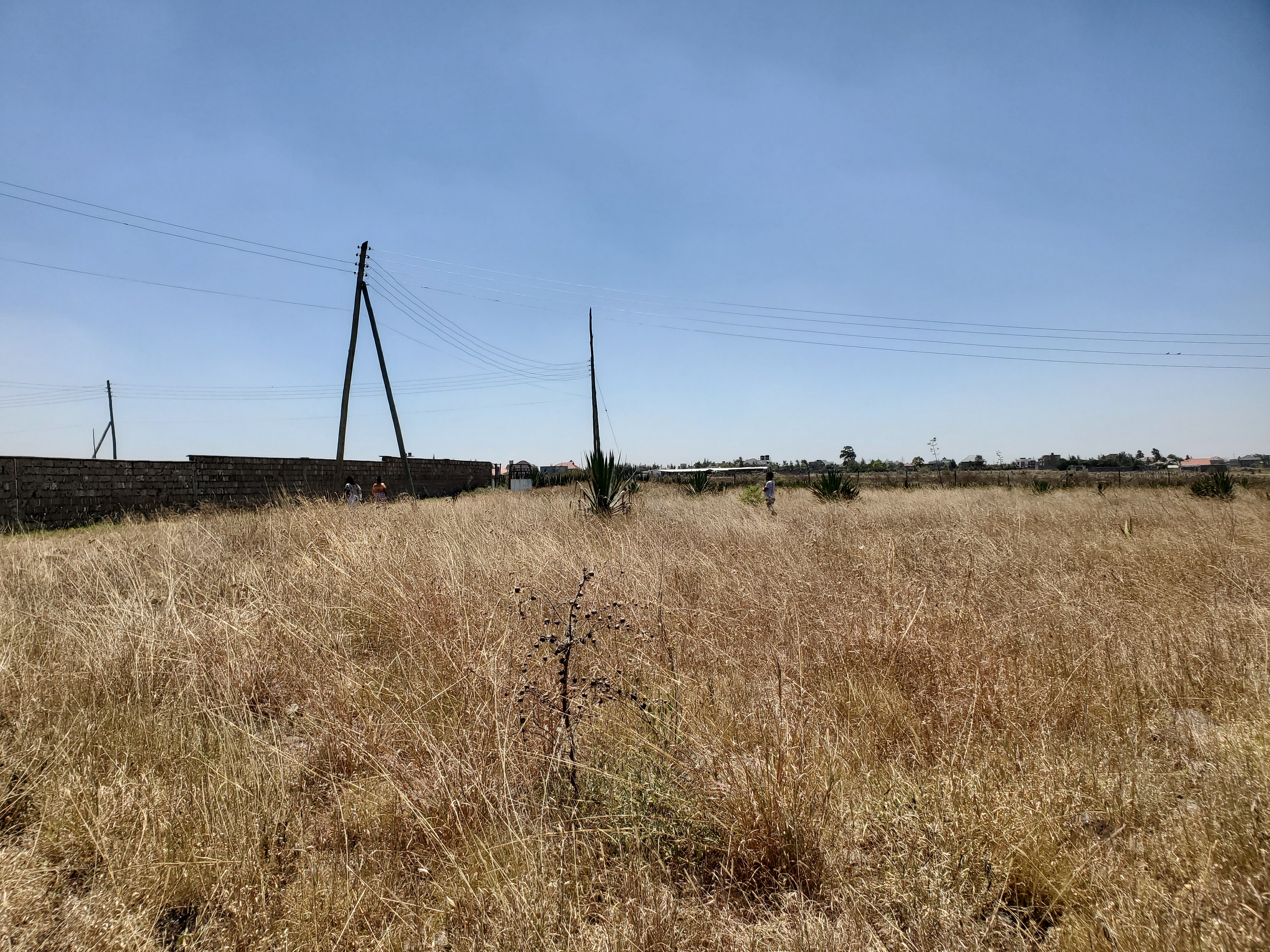 PLOTS FOR SALE – KATANI - Image 6