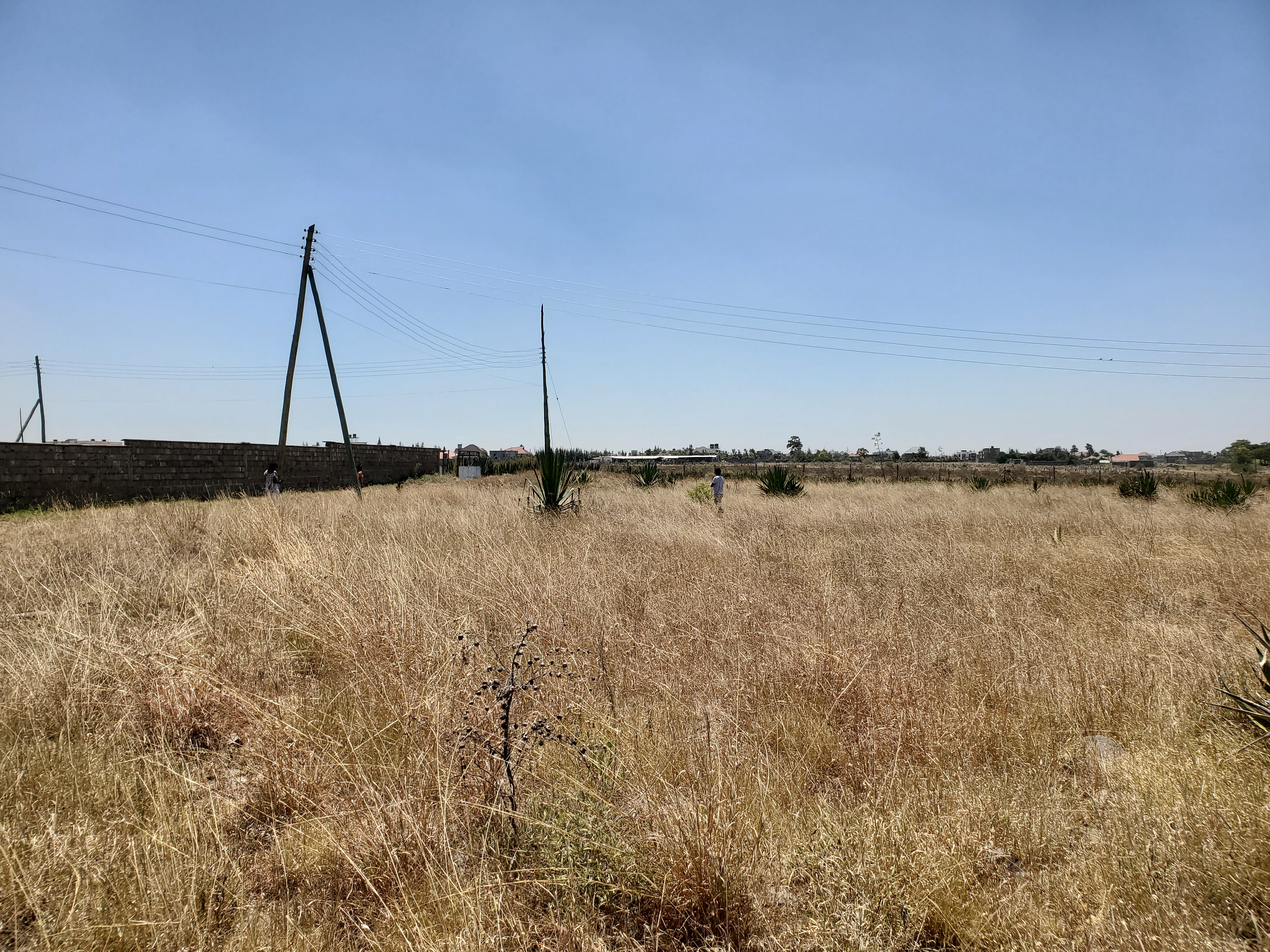 PLOTS FOR SALE – KATANI - Image 7