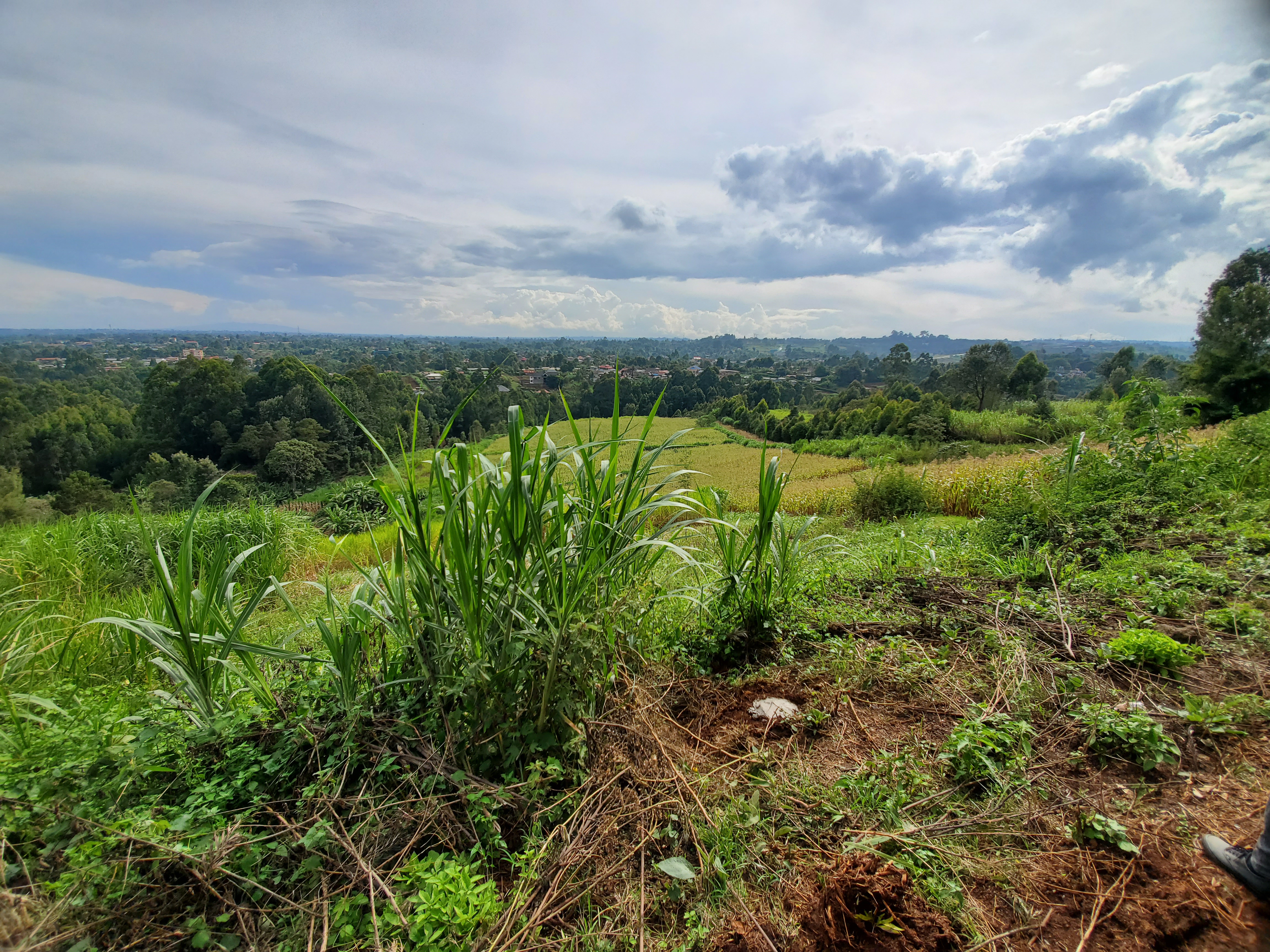 2 ACRES FOR SALE – TIGONI - Image 3