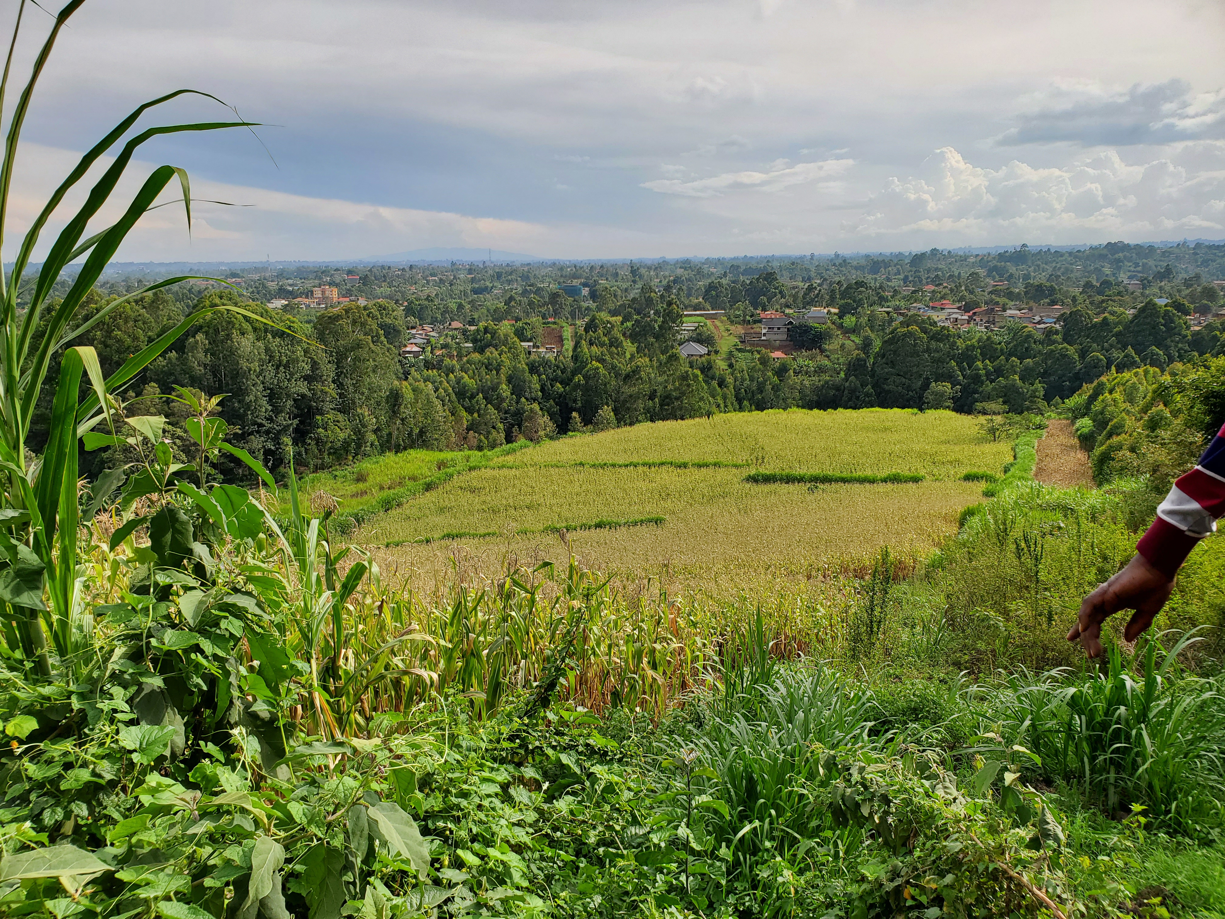 2 ACRES FOR SALE – TIGONI - LIMURU