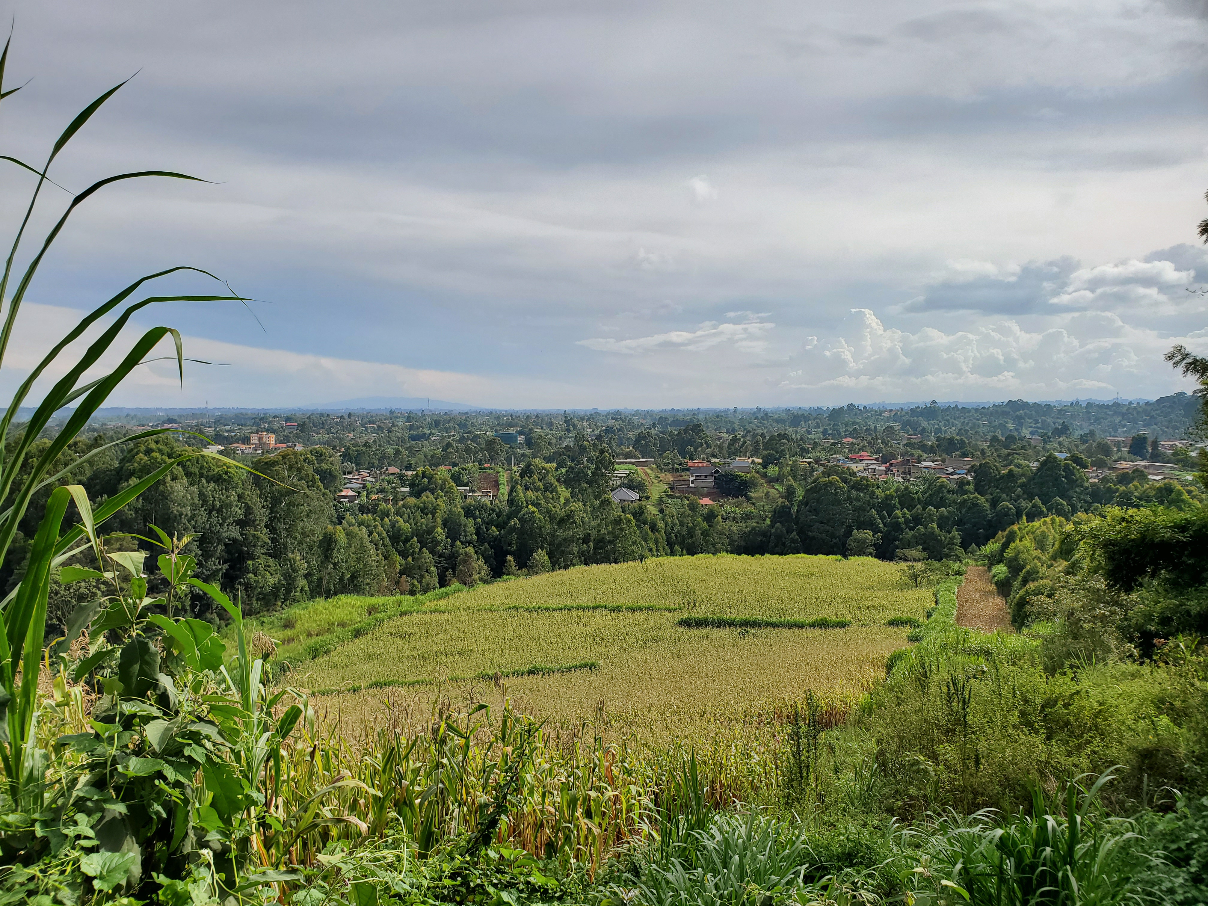 2 ACRES FOR SALE – TIGONI - Image 7